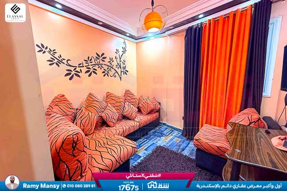 WhatsApp Image 2026-02-08 at 4.25.12 PM