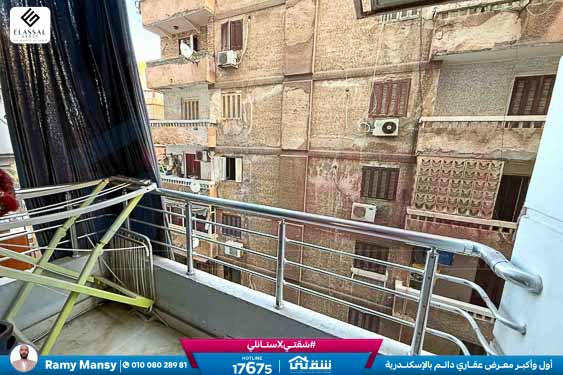 WhatsApp Image 2026-02-08 at 4.25.13 PM (1)