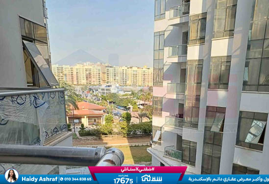 WhatsApp Image 2026-02-09 at 12.27.11 PM