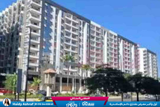 WhatsApp Image 2026-02-09 at 12.27.12 PM