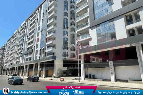 WhatsApp Image 2026-02-09 at 12.27.13 PM (1)