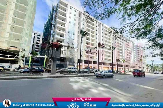 WhatsApp Image 2026-02-09 at 12.27.16 PM