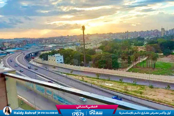 WhatsApp Image 2026-02-10 at 11.12.58 AM