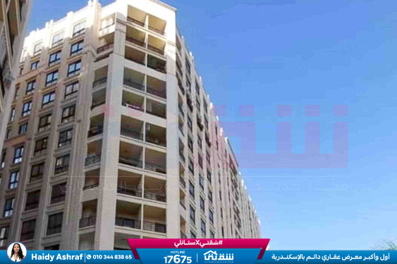 WhatsApp Image 2026-02-10 at 11.12.59 AM