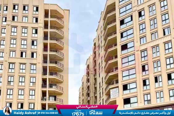 WhatsApp Image 2026-02-10 at 11.13.00 AM (1)