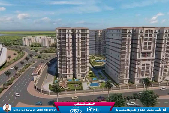 WhatsApp Image 2026-02-10 at 4.31.32 PM (1)