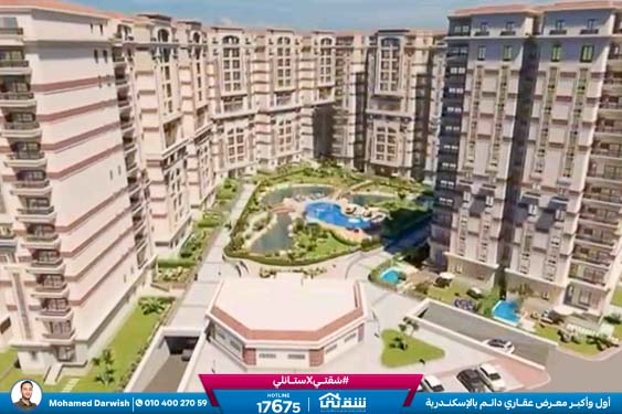 WhatsApp Image 2026-02-10 at 4.31.33 PM (2)