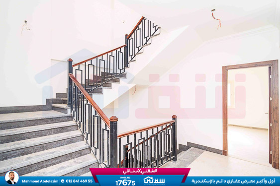 WhatsApp Image 2026-02-11 at 3.54.47 PM (1)