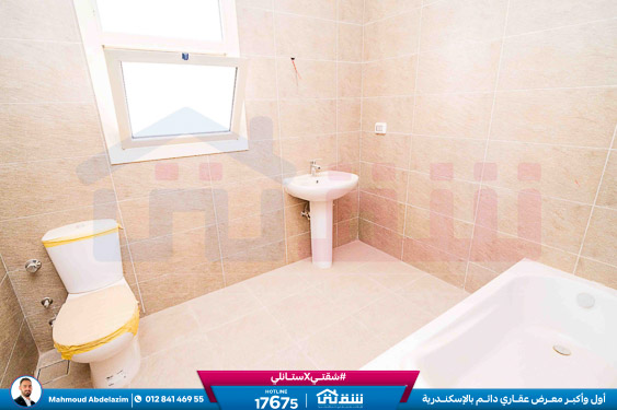 WhatsApp Image 2026-02-11 at 3.54.47 PM (2)