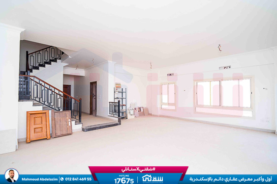 WhatsApp Image 2026-02-11 at 3.54.49 PM (1)