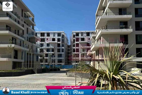 WhatsApp Image 2026-02-11 at 4.02.07 PM (1)