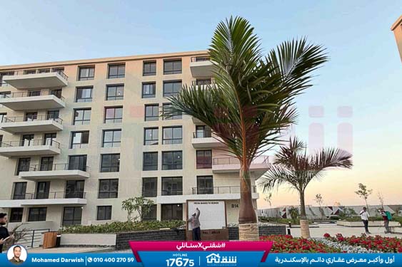 WhatsApp Image 2026-02-11 at 4.02.07 PM