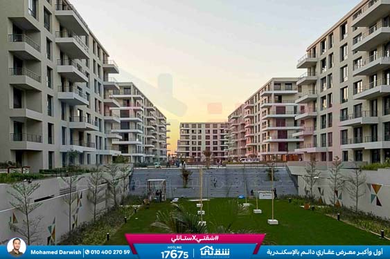 WhatsApp Image 2026-02-11 at 4.02.08 PM