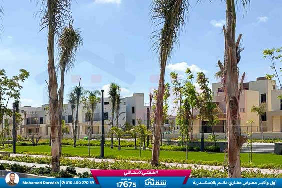 WhatsApp Image 2026-02-11 at 4.02.09 PM