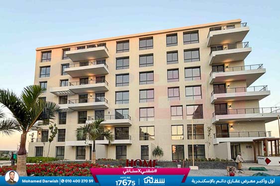 WhatsApp Image 2026-02-11 at 4.02.11 PM