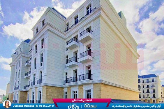 WhatsApp Image 2026-02-12 at 1.59.08 PM (1)