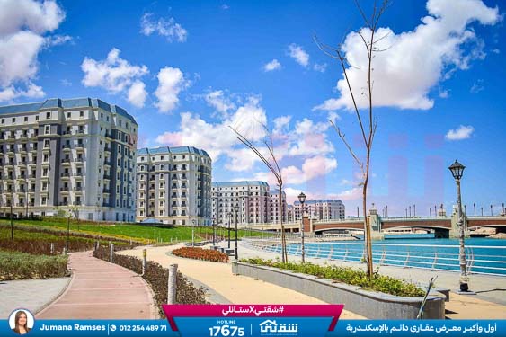 WhatsApp Image 2026-02-12 at 1.59.09 PM