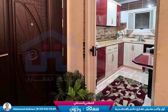 WhatsApp Image 2026-02-12 at 3.28.34 PM