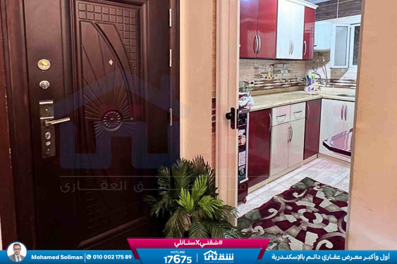 WhatsApp Image 2026-02-12 at 3.28.35 PM