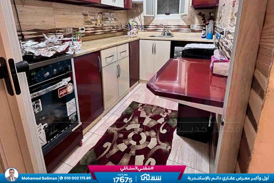 WhatsApp Image 2026-02-12 at 3.28.36 PM