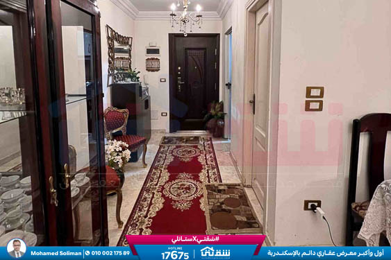 WhatsApp Image 2026-02-12 at 3.28.37 PM