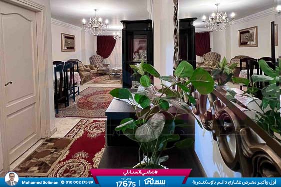 WhatsApp Image 2026-02-12 at 3.28.38 PM