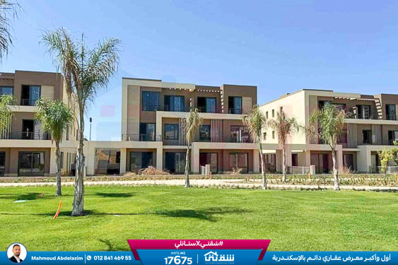 WhatsApp Image 2026-02-12 at 3.41.46 PM