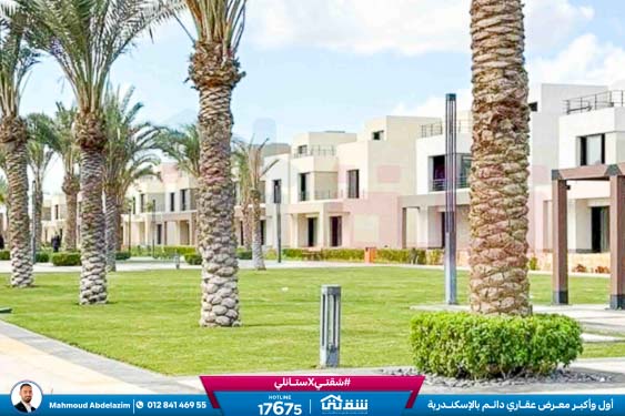 WhatsApp Image 2026-02-12 at 3.41.50 PM