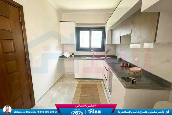 WhatsApp Image 2026-02-12 at 4.38.41 PM