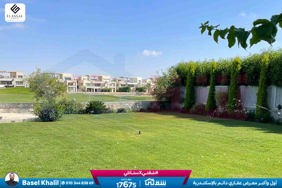 WhatsApp Image 2026-02-15 at 10.51.37 AM (1)