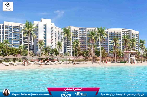 WhatsApp Image 2026-02-16 at 10.17.48 AM (2)