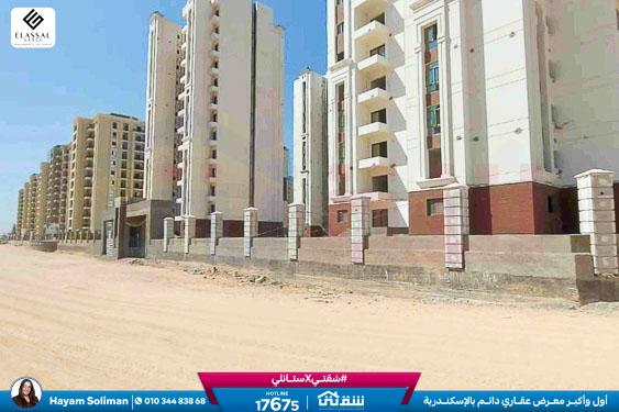 WhatsApp Image 2026-02-16 at 10.19.13 AM (1)