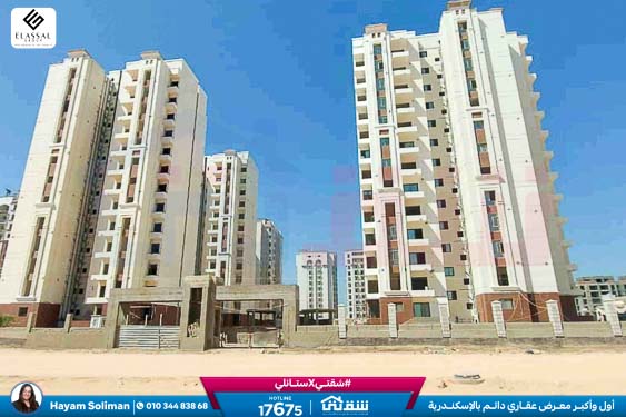 WhatsApp Image 2026-02-16 at 10.19.13 AM