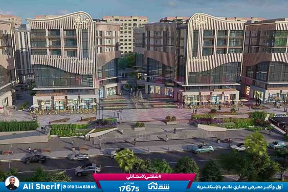 WhatsApp Image 2026-02-16 at 12.56.09 AM (1)