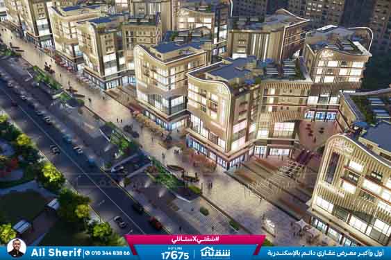 WhatsApp Image 2026-02-16 at 12.56.09 AM (3)