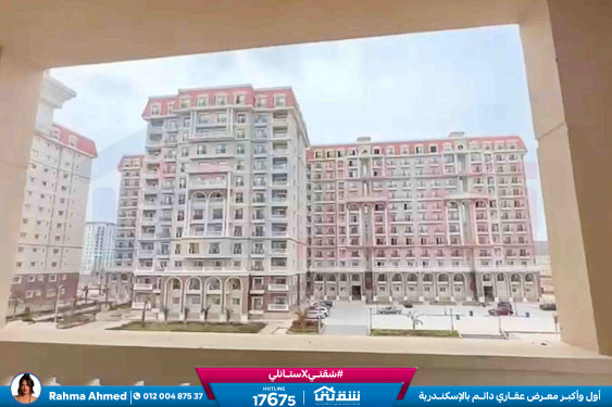 WhatsApp Image 2026-02-17 at 10.58.31 AM (1)