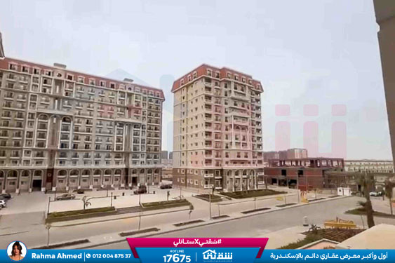 WhatsApp Image 2026-02-17 at 10.58.31 AM