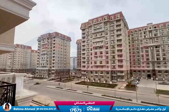 WhatsApp Image 2026-02-17 at 10.58.32 AM (1)