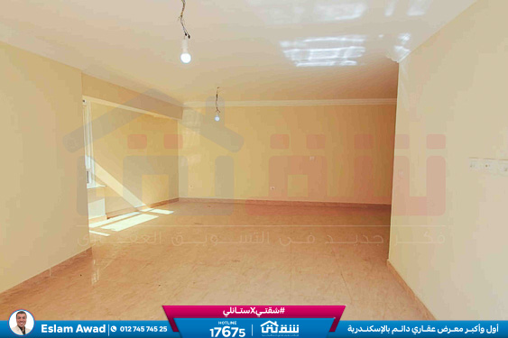 WhatsApp Image 2026-02-17 at 4.45.03 PM