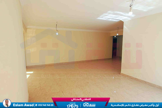 WhatsApp Image 2026-02-17 at 4.45.06 PM