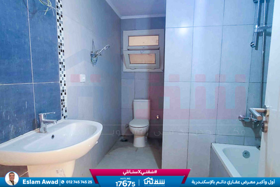 WhatsApp Image 2026-02-17 at 4.45.27 PM