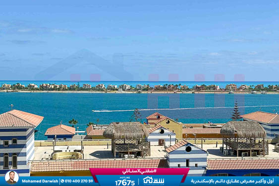 WhatsApp Image 2026-02-18 at 4.14.07 PM (2)