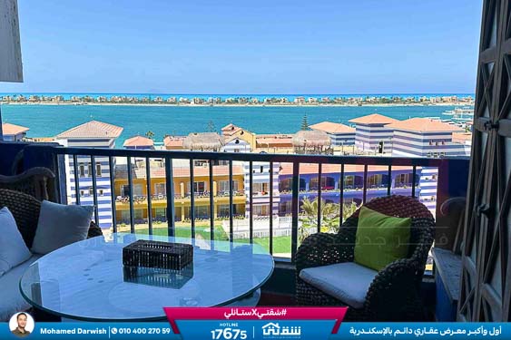 WhatsApp Image 2026-02-18 at 4.14.10 PM (1)