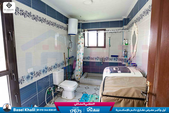 WhatsApp Image 2026-02-18 at 4.38.37 PM