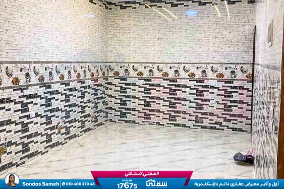 WhatsApp Image 2026-02-22 at 2.23.41 PM