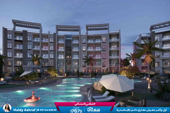 WhatsApp Image 2026-02-26 at 4.01.09 PM (1)