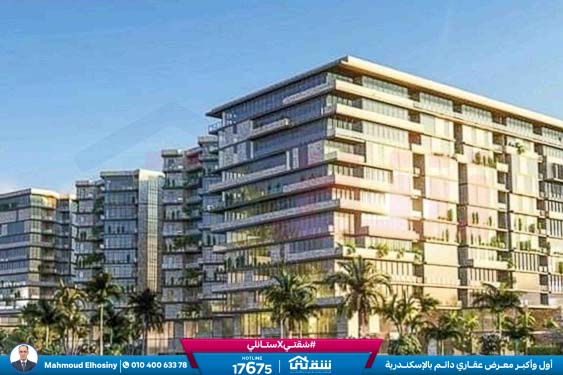 457143261_936641858497717_4190734054235641365_n