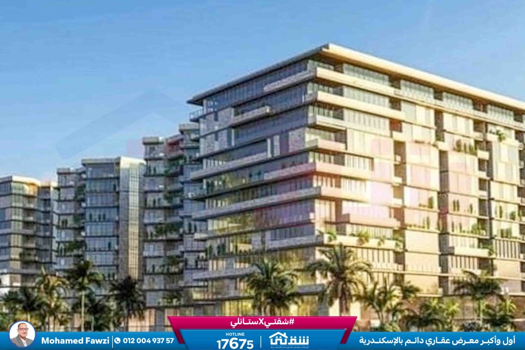 457143261_936641858497717_4190734054235641365_n