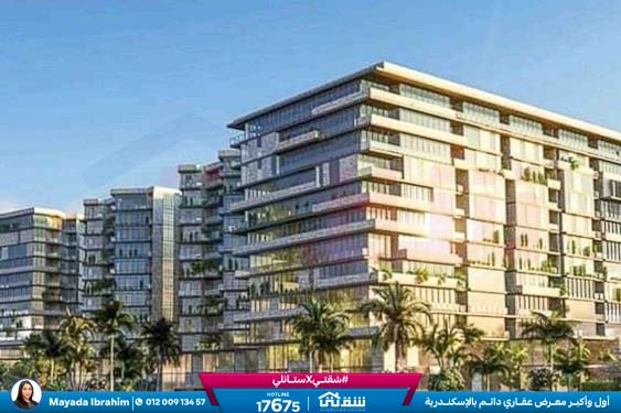 457143261_936641858497717_4190734054235641365_n