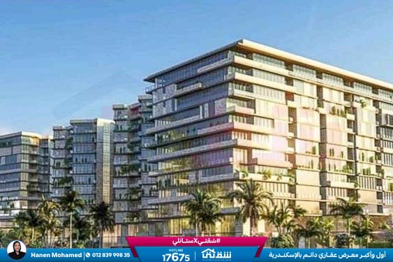 457143261_936641858497717_4190734054235641365_n